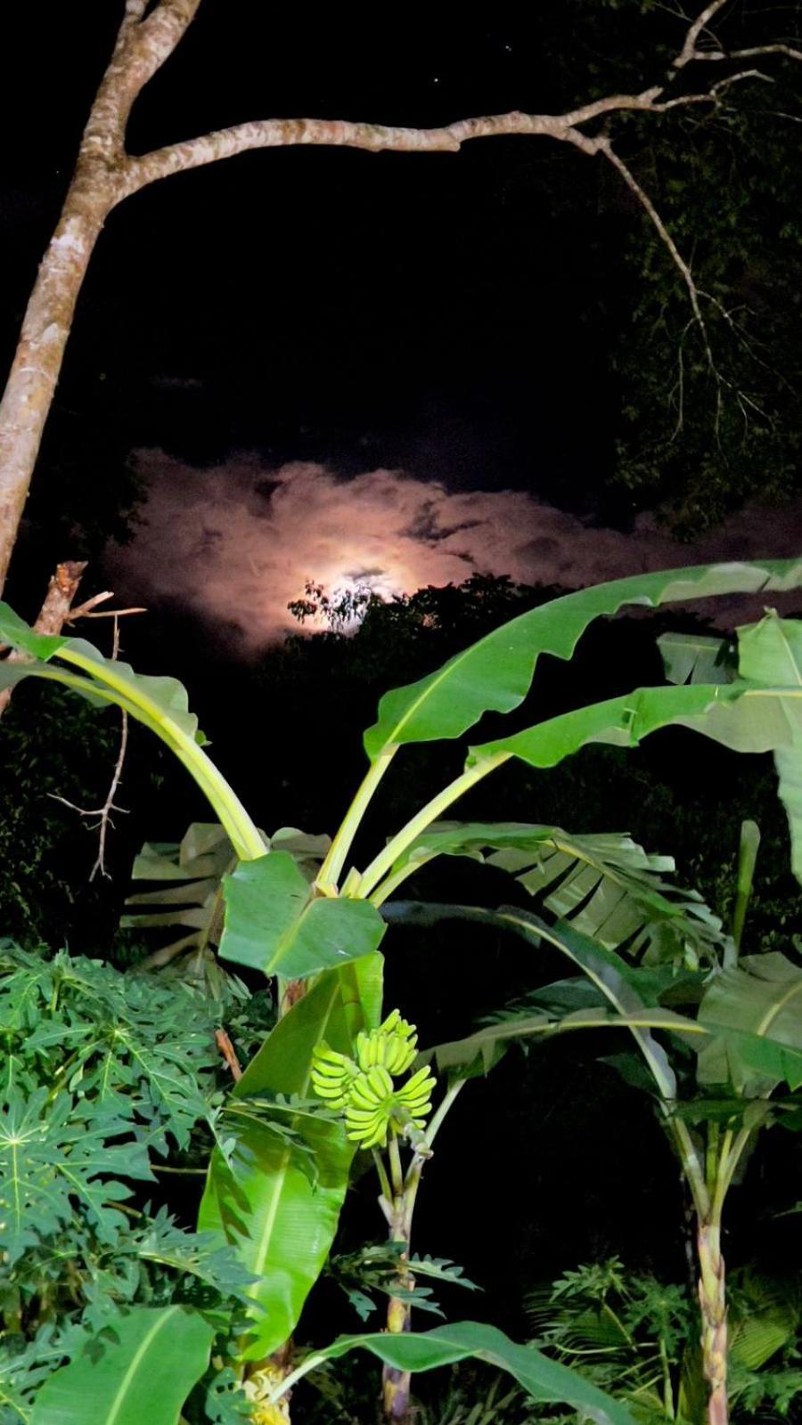 Jungla Y Estrellas Cobá Buitenkant foto